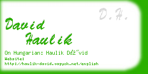 david haulik business card